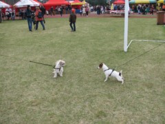 Częstochowa 2011 093